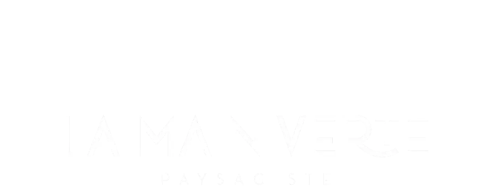 la main verte logo 2